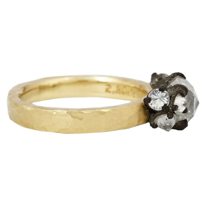 Bright Light Cluster Ring TAP By Todd Pownell Rings