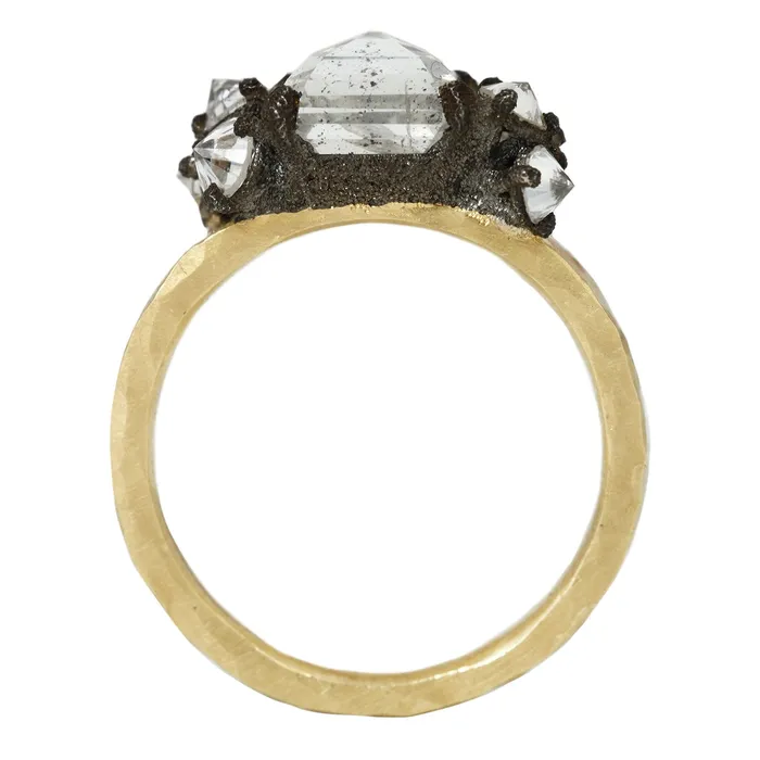 Bright Light Cluster Ring TAP By Todd Pownell Rings
