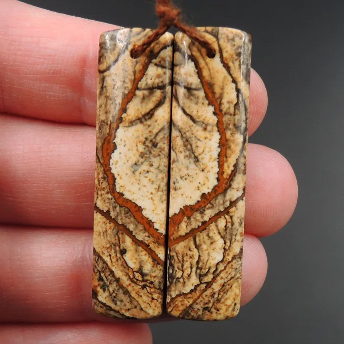 Intrinsic Trading Earrings Desert Jasper Earring Pair Cabochon Cab Pair Drilled Matched Earring Pair Natural Stone Bead Pair E3060