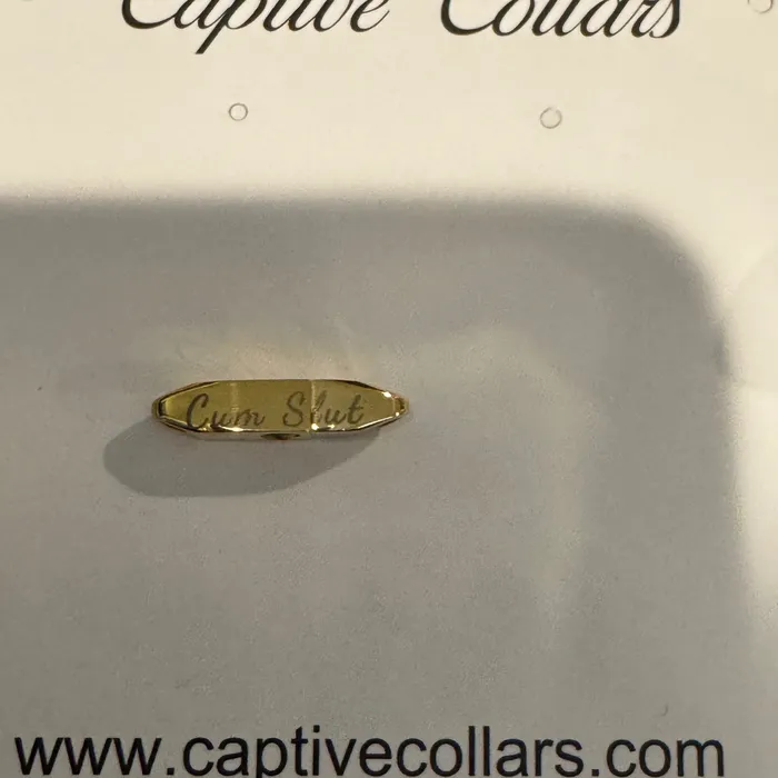 PreStyled Sets Engraved Cum Slut Gold Colored Captive Lock Captive Collars