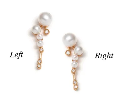 Sofia Zakia Earrings Shimmer Earring Readytoship