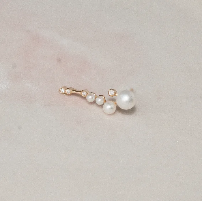 Sofia Zakia Earrings Shimmer Earring Readytoship