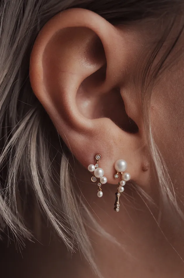 Sofia Zakia Earrings Shimmer Earring Readytoship